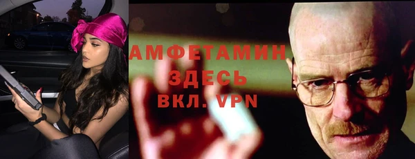 гидра Арсеньев