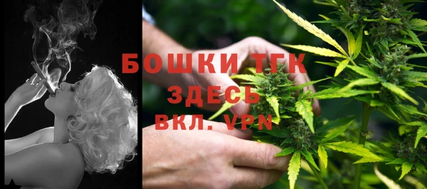 гидра Арсеньев